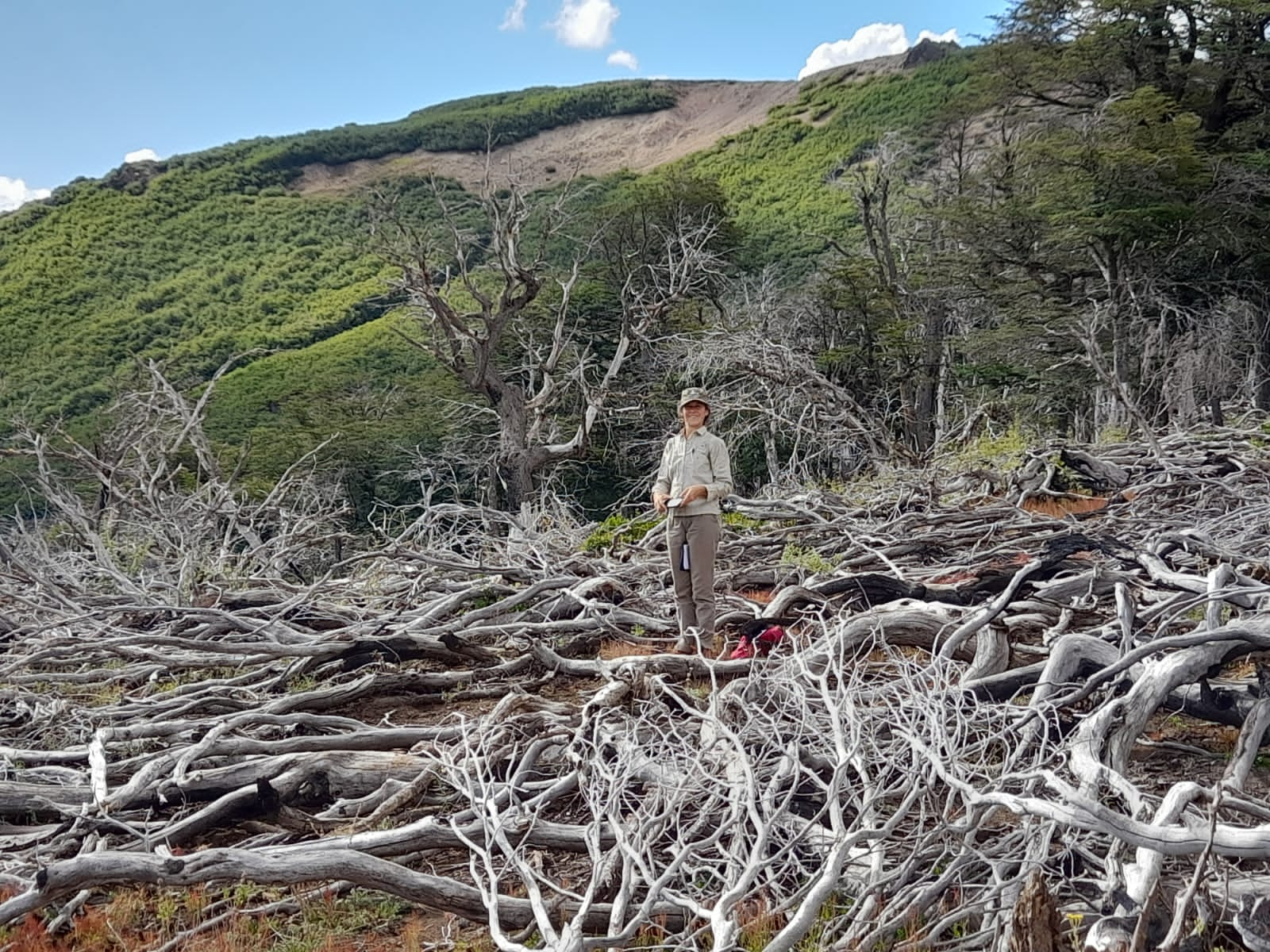 Esencial. El bosque resulta crucial para las comunidades que conviven en la ladera de la montaña.  