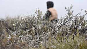 Alerta por nieve en Neuquén: cambió el alerta y estas son las zonas afectadas este lunes