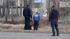 Peligro | Un niño encontró un arma cargada cerca de una plaza de Plottier: qué se sabe