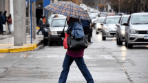 Imagen de Clima en Neuquén y Río Negro: cómo estará el tiempo este martes 20 de agosto 2024