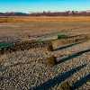 Imagen de Río Negro sigue con la concesión del tren por la Línea Sur y busca un acuerdo superior