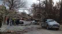 Imagen de Cómo sigue la alerta por viento en Neuquén: ruta cortada, clases suspendidas y una camioneta aplastada