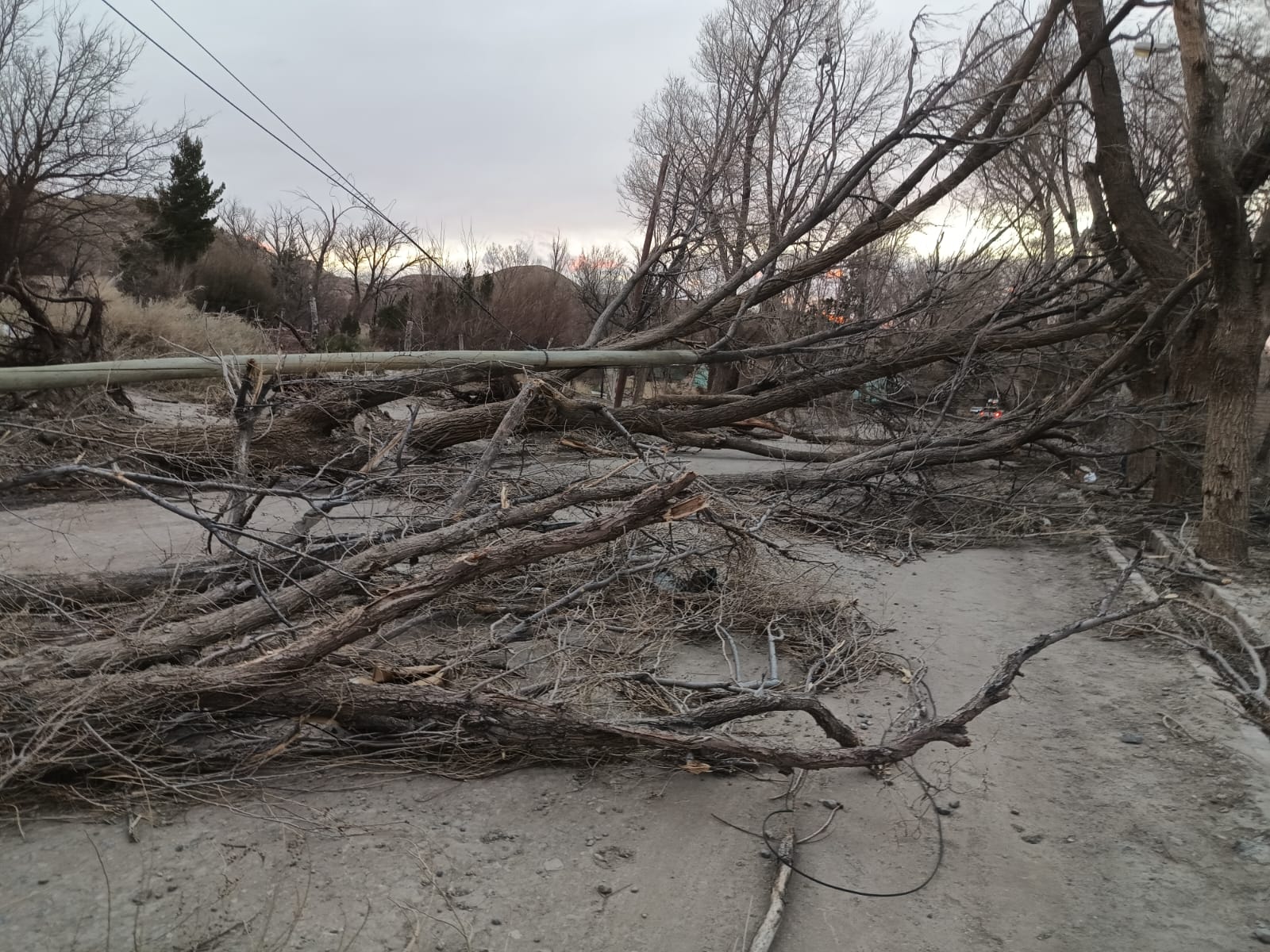 Destrozos por el viento en Buta Ranquil. Foto: Gentileza.