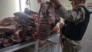 Decomisaron más de 240 kilos de carne en una carnicería de Conesa