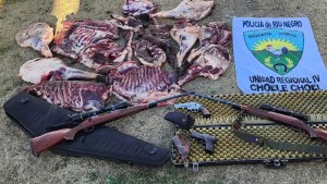 Secuestraron armas y decomisaron carne de jabalí en Choele Choel: no tenían autorización para cazar