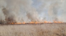 Imagen de Hubo demoras en la Ruta 7 por un incendio de gran magnitud en Cinco Saltos: investigan si fue intencional