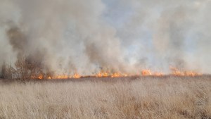 Hubo demoras en la Ruta 7 por un incendio de gran magnitud en Cinco Saltos: investigan si fue intencional