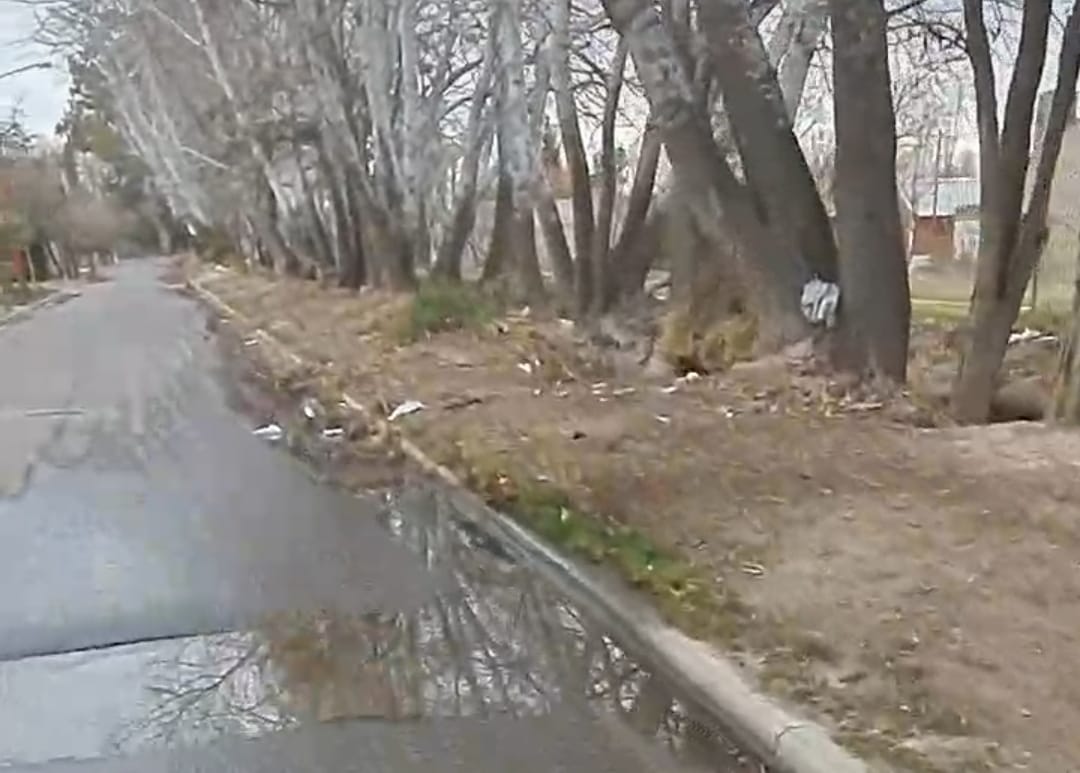 Agua, hojas y basura domiciliaria se combinan en la calle El Salvador, de Roca. 