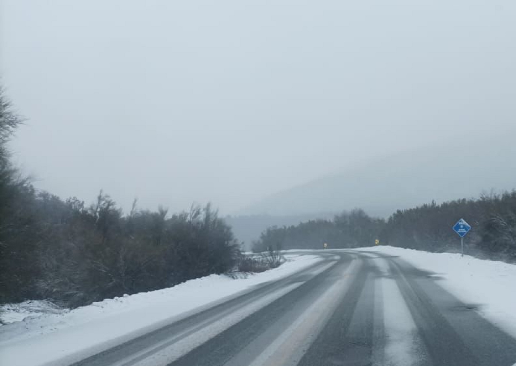 Solicitan transitar con extrema precaución en la Ruta 40 en la zona Pampa del Toro. Foto: Vialidad Nacional 