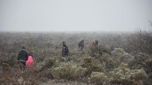 Imagen de Video | ¡Llegó la nieve al Alto Valle!: Regina se cubrió de blanco, ¿qué pasó en Neuquén y Roca?