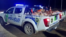 Imagen de Allanamientos en San Javier: secuestraron 1400 kilos de carne y más de 130 municiones