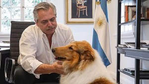 ¿Nuevo perro en la Casa Rosada?: Javier Milei le ofreció a Alberto Fernández adoptar a Dylan