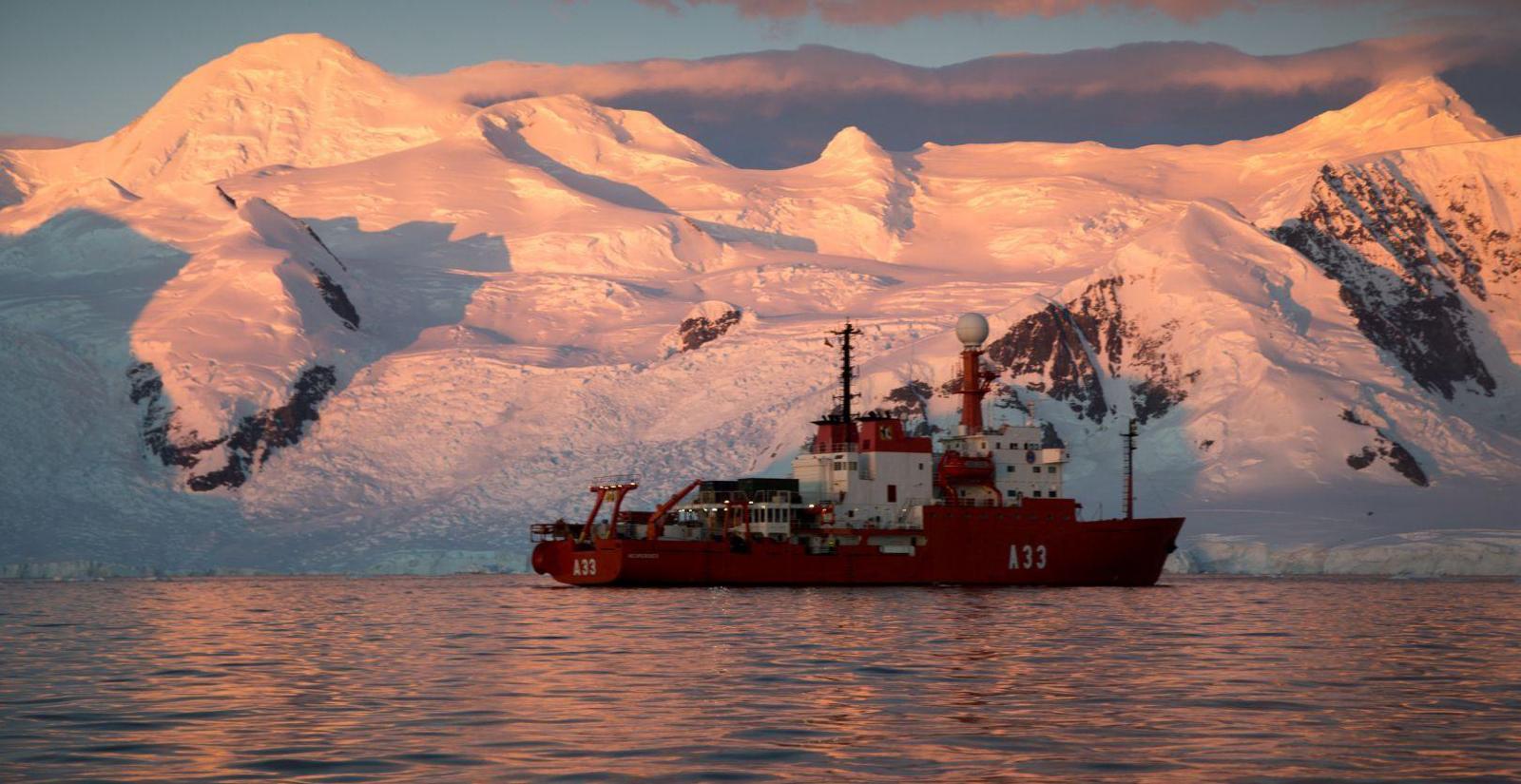 La Expedición Australis es un proyecto internacional para rastrear la presencia del patógeno en la península antártica. Foto: gentileza 