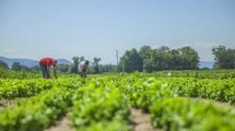 Imagen de Potenciar la innovación productiva e industrial de Roca, un desafío que redobla su marcha