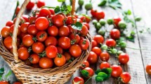 Imagen de El tomate y sus potentes beneficios en la salud: rico en antioxidantes y súper nutritivos