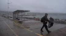 Imagen de Lluvias y fuertes vientos en Chile: miles de personas sin luz y la región que limita con Neuquén no tiene clases