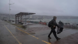 Lluvias y fuertes vientos en Chile: miles de personas sin luz y la región que limita con Neuquén no tiene clases