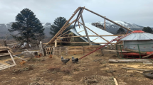 Imagen de El productor que lo perdió todo por el temporal de viento en Neuquén: «Nunca vi algo así en 50 años»