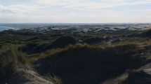 Imagen de Efecto «greening»: médanos cada vez más verdes por el cambio climático en la ruta 1 o ‘camino de la costa’