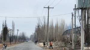 Talaron árboles, uno cayó sobre unos cables y dejaron sin luz la zona rural de Regina