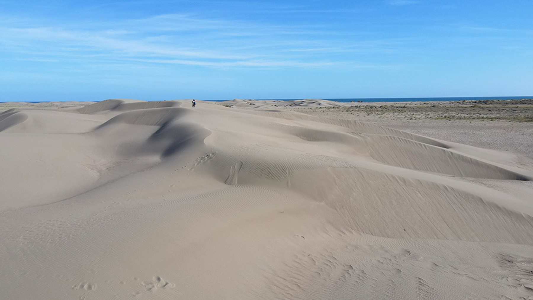 En la costa norte del Golfo San Matías están las dunas con mayor superficie de la Patagonia argentina (Foto Crédito CONICET)