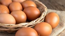 Imagen de Por qué es peligroso comer más de siete huevos a la semana, según la OMS 