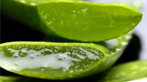 Imagen de Cómo eliminar las ojeras con un poco de aloe vera