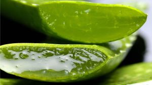 Cómo eliminar las ojeras con un poco de aloe vera