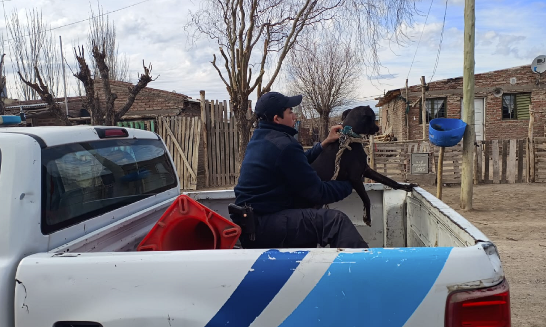 Maltrato animal en Roca. Foto: Policía de Río Negro. 