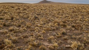 La Patagonia me Mata: la historia de la criatura que llora en el Salado