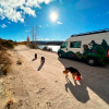 Imagen de Video | Viaja con sus tres perros, dejó el motorhome abierto y al volver de caminar lo esperaba la sorpresa más linda