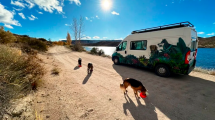 Imagen de Video | Viaja con sus tres perros, dejó el motorhome abierto y al volver de caminar lo esperaba la sorpresa más linda