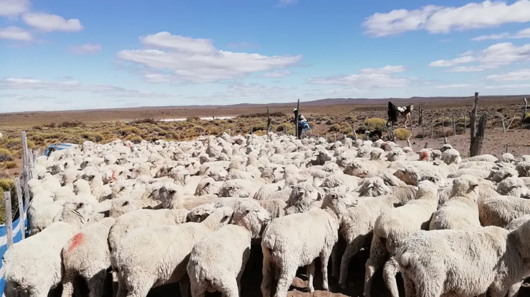 La Patagonia me mata, el relato de Jorge Castañeda. 