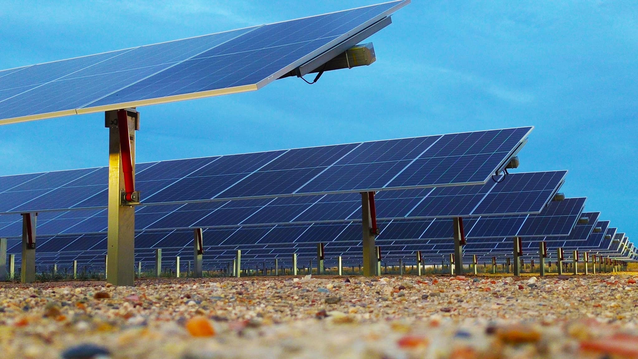 El parque solar de Cutral Co tiene más de 5.000 paneles (Foto gentileza Municipalidad de Cutral Co)