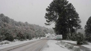 Nieve en Neuquén: los horarios y las zonas bajo alerta este lunes