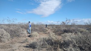 Búsqueda de Luciana en Neuquén: los esfuerzos para encontrarla siguen enfocados en la meseta