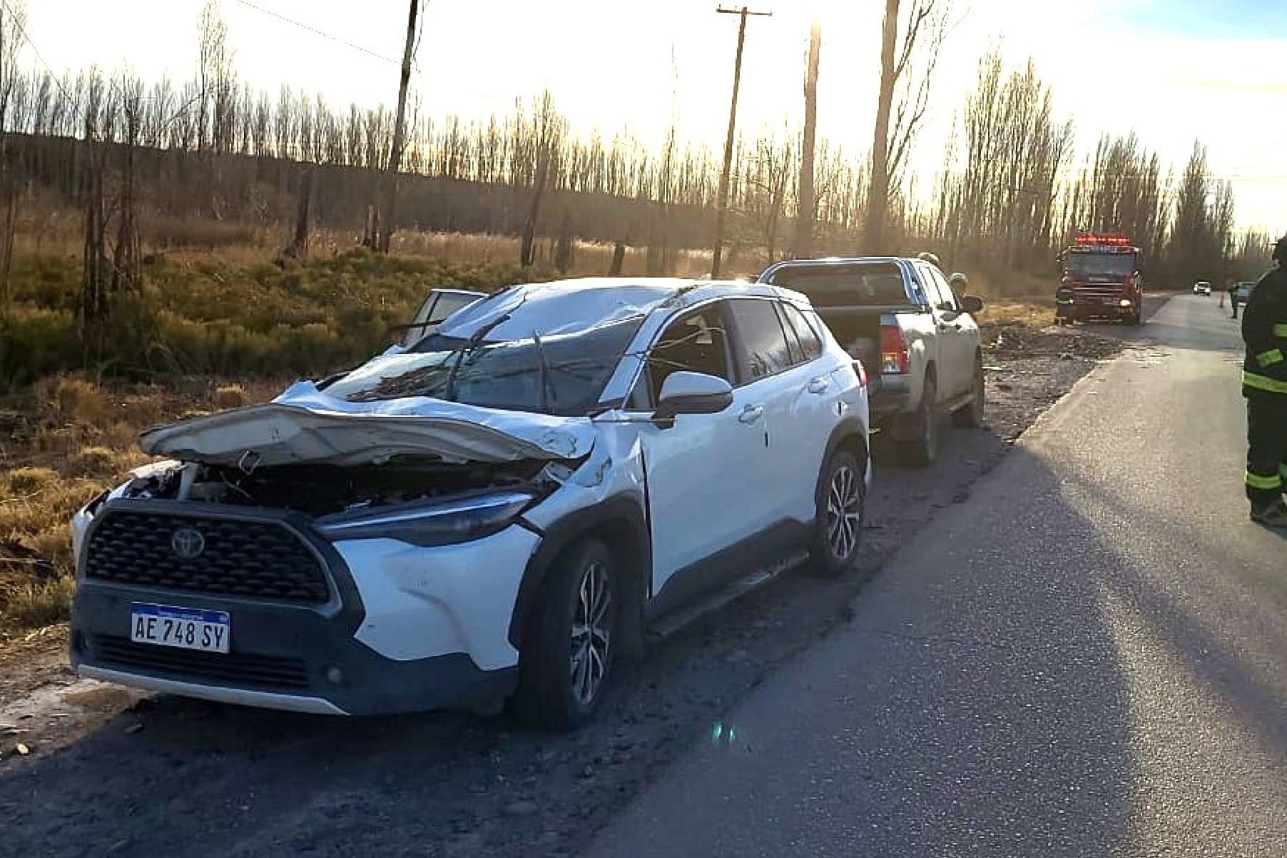 Una camioneta fue aplastada por un árbol en Ruta 7: dos mujeres heridas (Foto: gentileza Centenario Digital)