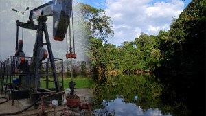 Petrolera ignora el voto de los ecuatorianos para proteger la Amazonia