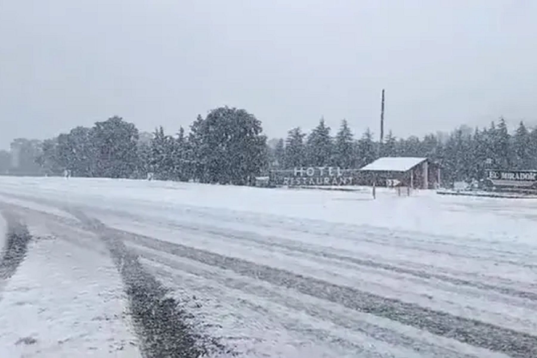 La nieve llegó a Buenos Aires. 