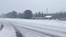 Imagen de La ciclogénesis llevó la nieve a Buenos Aires, tras su paso por Neuquén y Río Negro