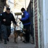 Imagen de Búsqueda de Luciana Muñoz en Neuquén: rastrean con perros si estuvo en una casa del oeste