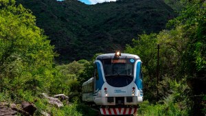 Cómo comprar pasajes de trenes de larga distancia para viajar en septiembre desde $12.000