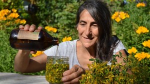 Sara Itkin, la médica yuyera de Bariloche: «en invierno las plantas nos ofrecen beneficios para aliviar dolores»