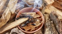 Imagen de ¿Qué día hay que prender el palo santo, según el Feng Shui y el tipo de intención?