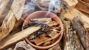 ¿Qué día hay que prender el palo santo, según el Feng Shui y el tipo de intención?