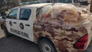 Viajaba con 1400 kilos de carne desde La Pampa a Neuquén: el detalle por el que fue interceptado