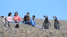 Imagen de Temporada de fauna total en Puerto Madryn: ballenas, pingüinos, lobos, elefantes marinos y orcas