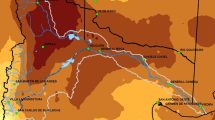 Imagen de Viento de hasta 110 km/h: el mapa de las ráfagas en Neuquén y Río Negro este jueves