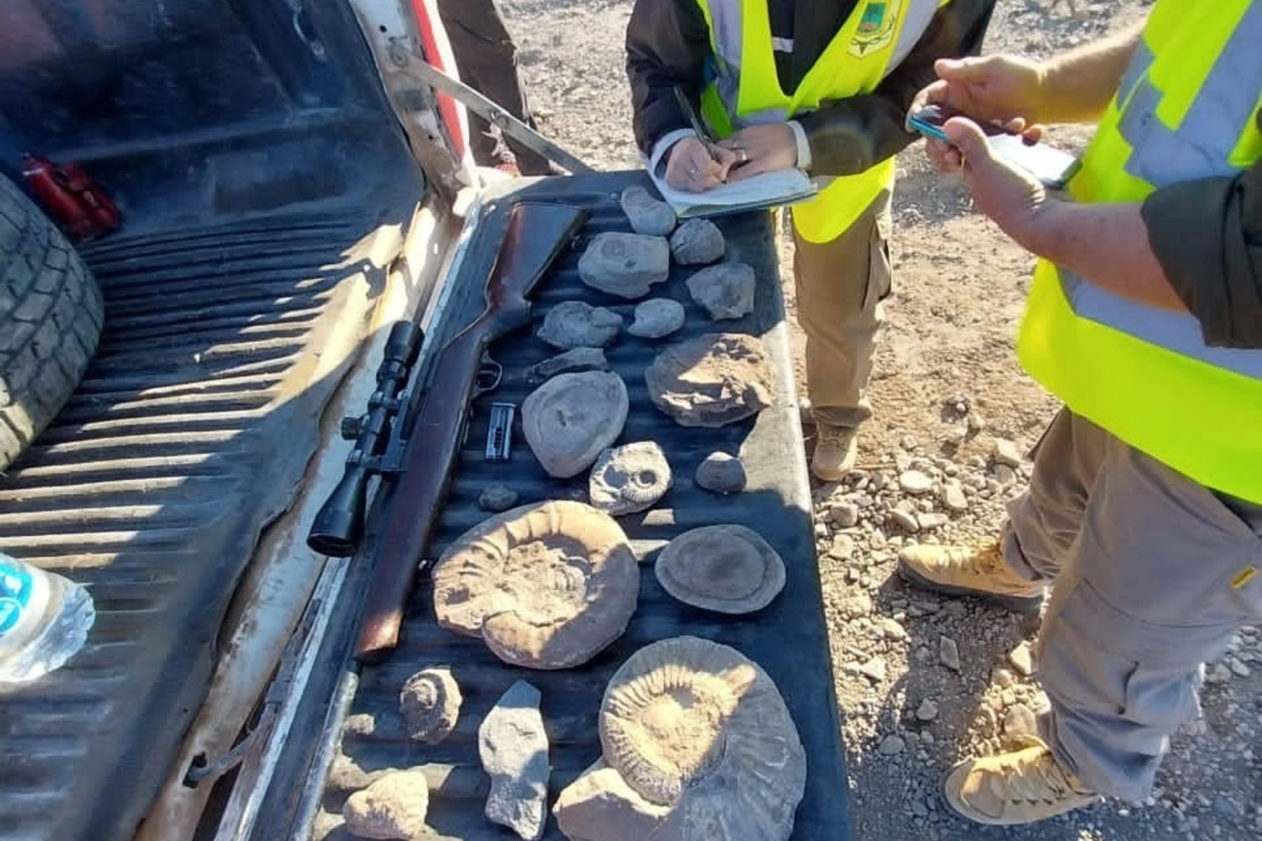 Secuestraron restos fósiles en Neuquén. Crédito Reflejo Neuquino.