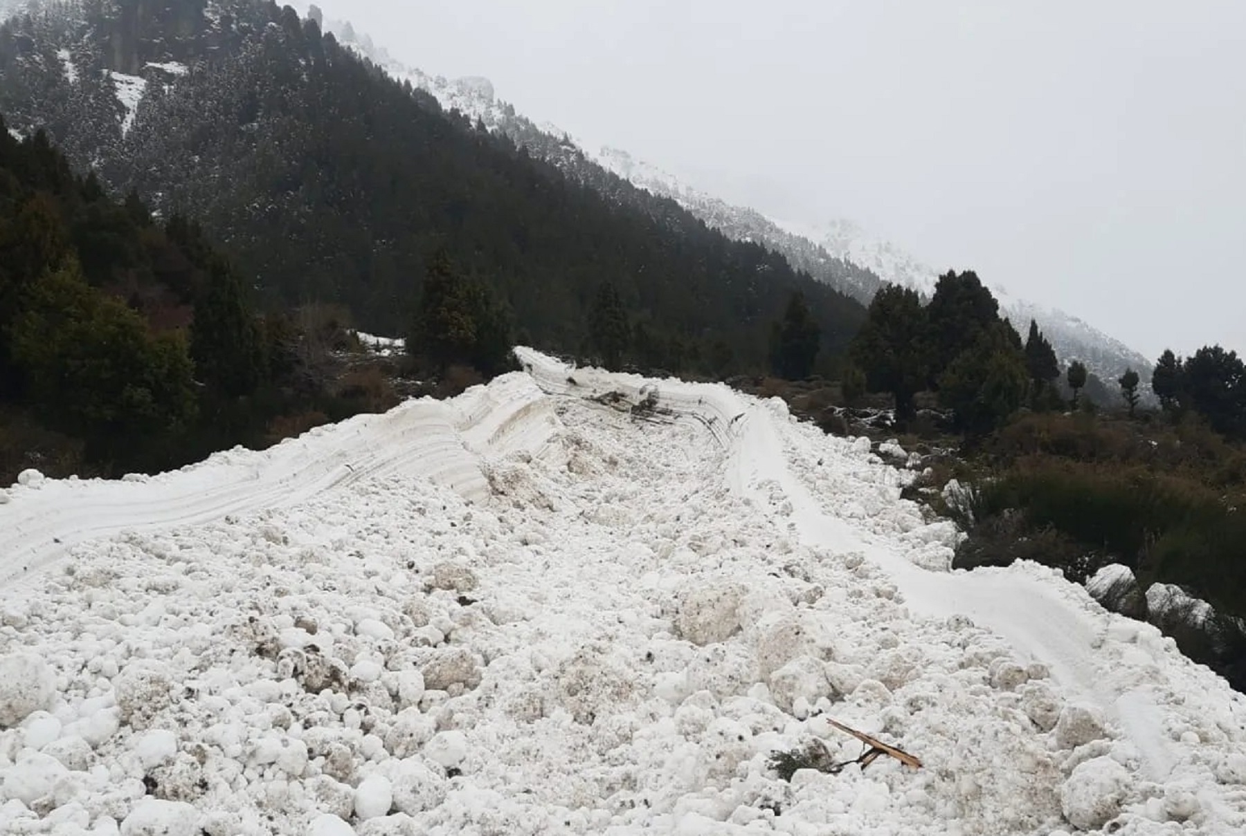 La avalancha se produjo por el temporal de nieve en la zona. 